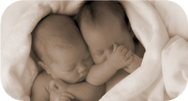 Sepia Foto op Canvas